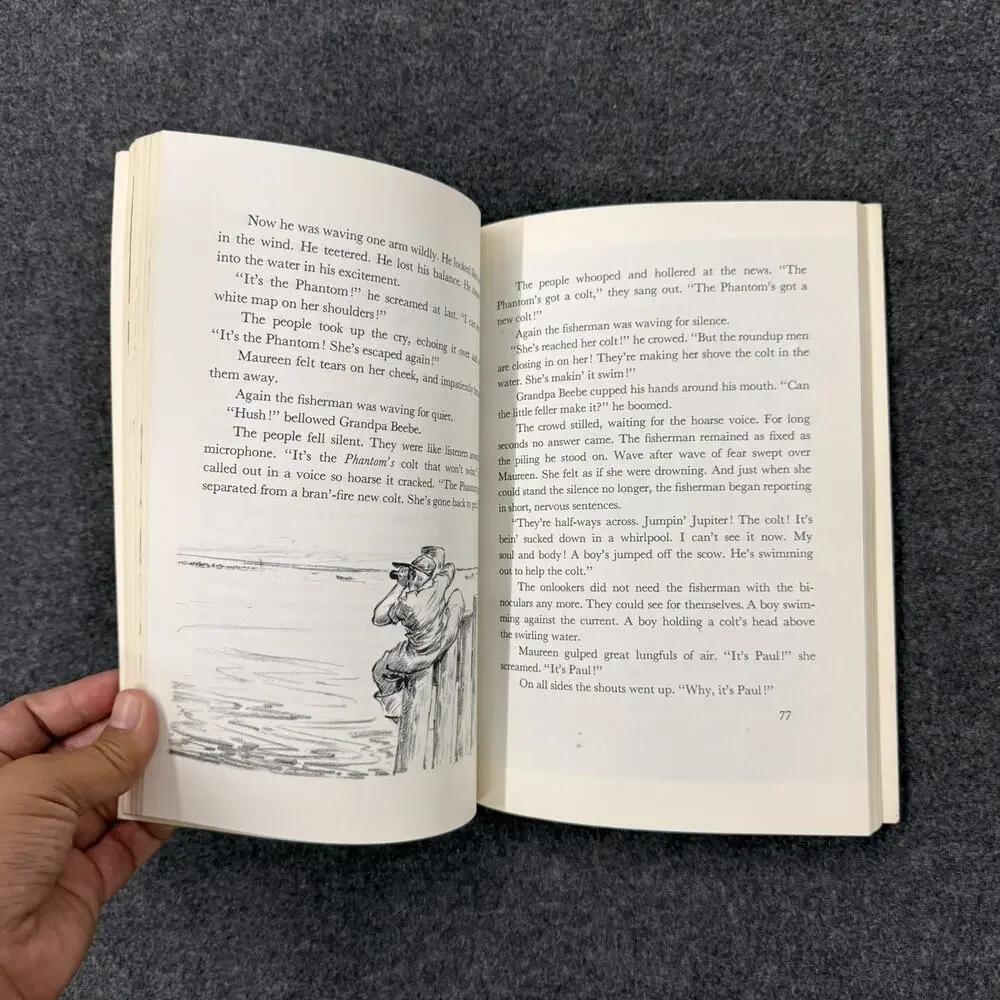 VTG 70s Misty Of Chincoteague Marguerite Henry Rand Mcnally Kids Pony Horse Book